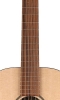 Neck